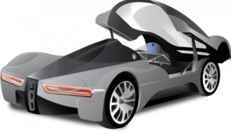 maserati birdcage